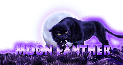 รีวิวเกมสล็อตออนไลน์แตกง่าย Panther Moon