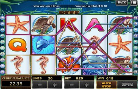 เกม Dolphin Reef - slotxo สล็อตออนไลน์