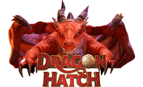 Dragon Hatch