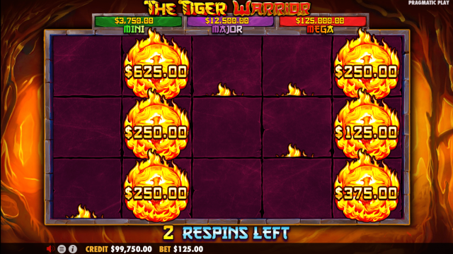 ฟีเจอร์พิเศษของเกม The Tiger Warrior