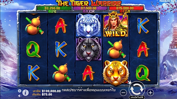 ลักษณะของเกม The Tiger Warrior